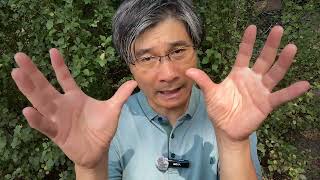 Geo-Strategy Update #5:   The Universal Law of Game Theory