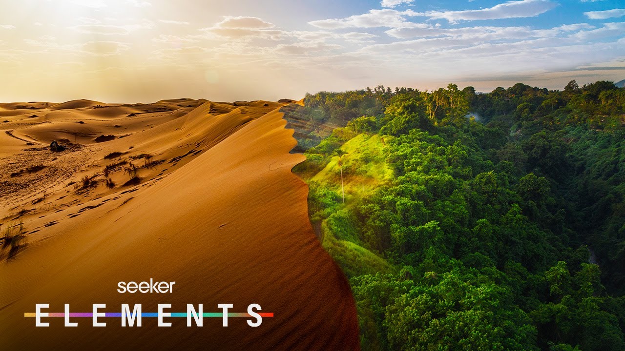 The Sahara Desert Used to Look Like This…And May Again