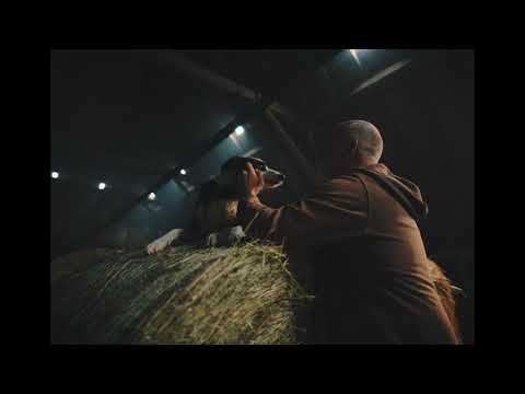 TATENDRANG ist tierisch gut zu Tieren