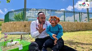 פרשת שמיני עם ר שרגי . איך יקראו לבובה החדשה??? הגיבו והשפיעו!!