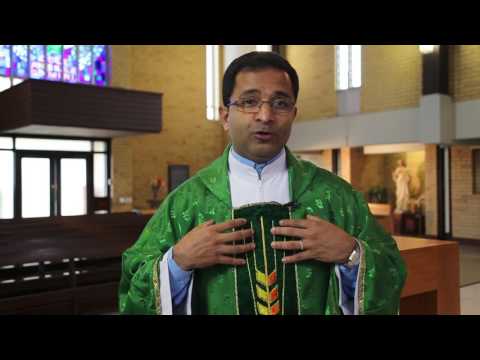 Fifteenth Sunday of Ordinary Time - Two-Minute Homily: Fr Jose Thekkemuriyil CMI
