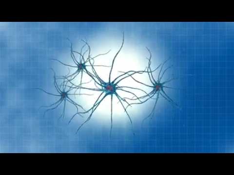 Neuromorphe Chips? Die Zukunft Der Gehirninspirierten Computertechnik