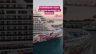 NORWEGIAN AQUA и другие выходят из Майами #norwegianaqua #miami #umarkeyn #4k #cruiseship #travel