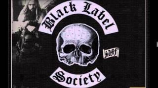 In this river - Black Label Society  (Instrumental)