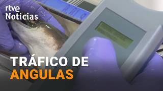 Thumbnail del capítulo