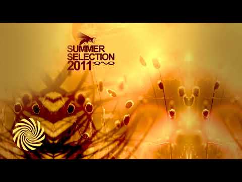 Loopstep - Optimus Fault