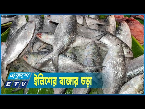 ভরা মৌসুমেও ইলিশের বাজার চড়া