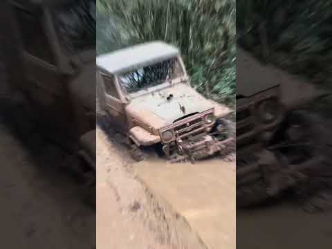 Trilha do Verde em Cotia /SP