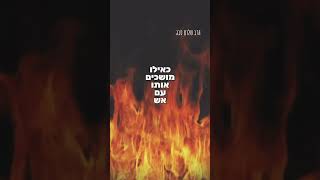 הרב שלום סבג – בחירה של אדם יותר קשה מבריאת העולם 🌎
