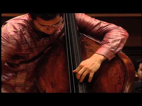 Sperger, Concerto Nr. 15 1st mov (Anner Bylsma: cadenza 2011)