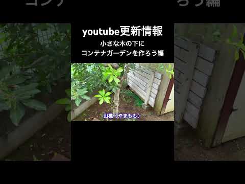 家庭菜園用のコンテナを構築する ガーデニングコンテナのスペースが不足している理由 品質の悪い土壌