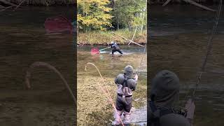 Catching King Salmon #fishing #freshwaterfish #kingsalmon #salmonrun #salmon #michigan #fish