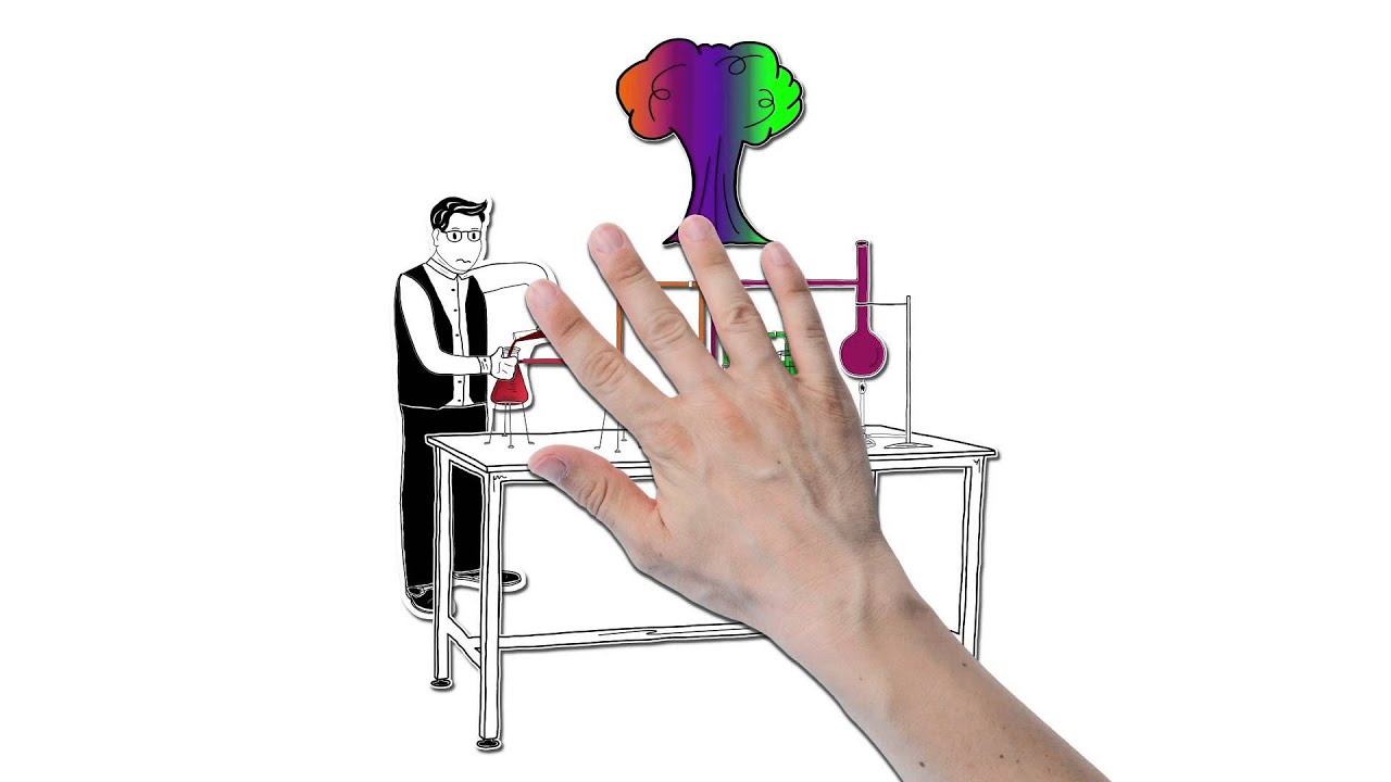 Webinar 5: Constructing Color