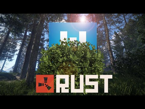 What REALLY HAPPENED On The OTV "PVP" Server