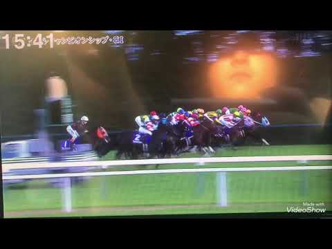 競馬 マイルCS あの馬に１１万円をかけたら、、、？