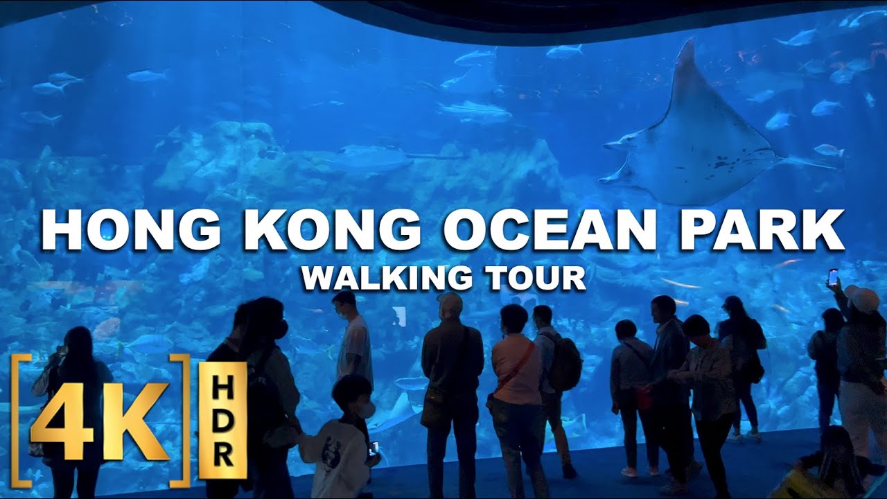 Spend a fun day riding roller coasters and cable cars at Ocean Park Hong Kong