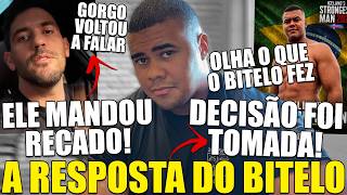 RESPOSTA DO BITELO APÓS TRETA PESADA COM GORGONOID ACABOU VINDO DE OUTRA FORMA? HORSE EXPÕE SITUAÇÃO