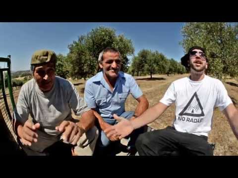 Fibai e Tessi | Randagiu Sardu | nootempo NOOT006 - Official Single Sardegna