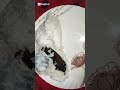 Food Song Music Newsong Bollywood Love Bangladesh Funny