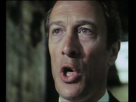 Profesionálové - Lawsonova poslední bitva avi cz dabing