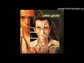 Peter Gabriel No Self Control Early Instrumental Released Vocals 2023 Remix