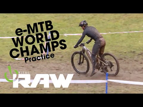 Mistrovství světa Elektrokol