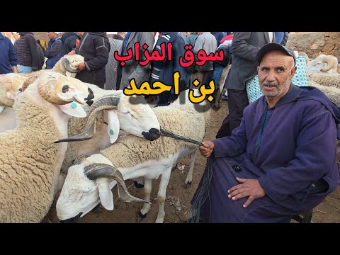 حولي العيد من سوق المزاب اتنين بن احمد مع آثمنة حولي العيد بتاريخ 27.04.2026