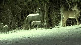 guess its over, get over it