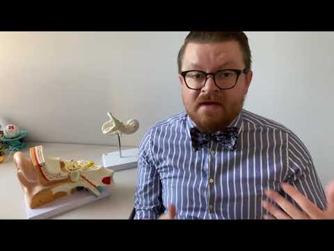 Common Audiology Externship Interview Questions