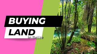 Buying land in Belize and the move from HELL!