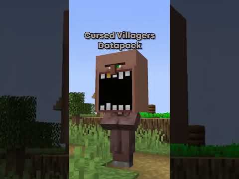 Minecraft Cursed Villagers... (Cursed Datapacks Pt. 2)