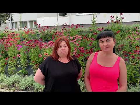 SIGNIFY (PHILIPS KETRZYN) в м. КЕНТШИН відгук працівників.