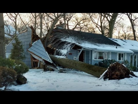 Dangerous Idiots Fast Tree Felling Fails With Chainsaw, Big Tree Removal Fails Falling On Houses