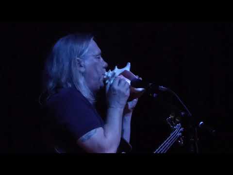 Black Girls Live - Violent Femmes