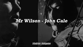 Mr. Wilson, by John Cale (Español/Inglés)