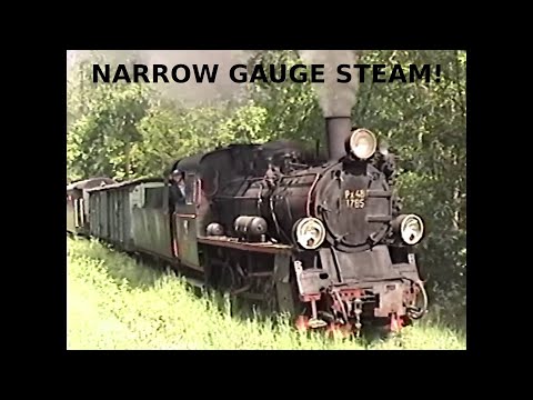 Gniezno Narrow Gauge Steam, Part 1