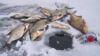 Ловля леща на поплавочную удочку зимой
