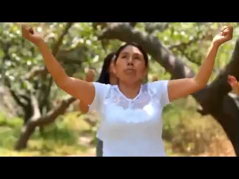 Ministerio de Alabanza LLUVIA CELESTIAL "Con tus manos me levantas"