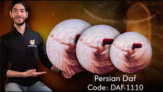 Persian Daf | Model DAF-1110 HQ | Sound Demonstration (45 / 49 / 54 cm)