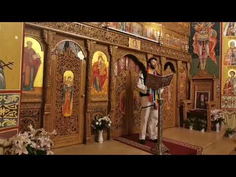 Stef Mihnea - Galbenă Gutuie versuri Nica Zaharia