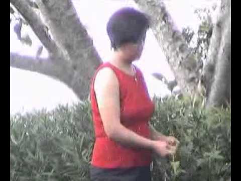 R. Lalhnehpuii - Lungrun  (Official)