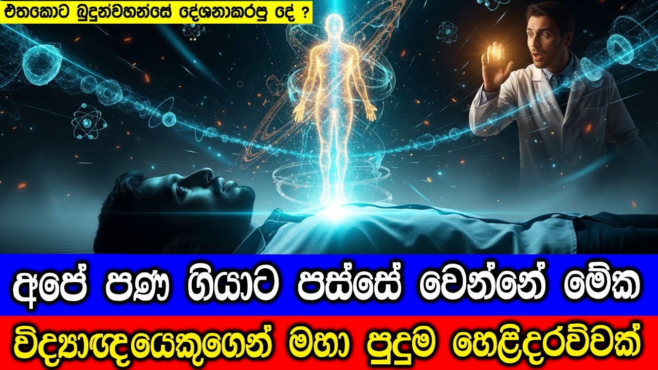 අපි මෙලොව හැරගියාම වෙන්නේ මෙන්න මේක, විද්‍යාඥයෙකුගෙ?