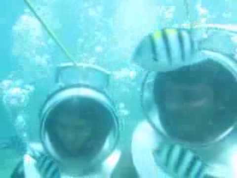 Seawalk of mohan sushma