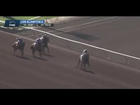 05/07/2021 GAMINE / (G2) Great Lady M. Stakes