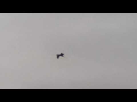 real me X2 Pro full zooming