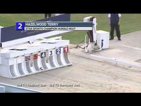 2018 STAR SPORTS CHAMPION HURDLE - HEAT 1 -  T2 HAZELWOOD TERRY