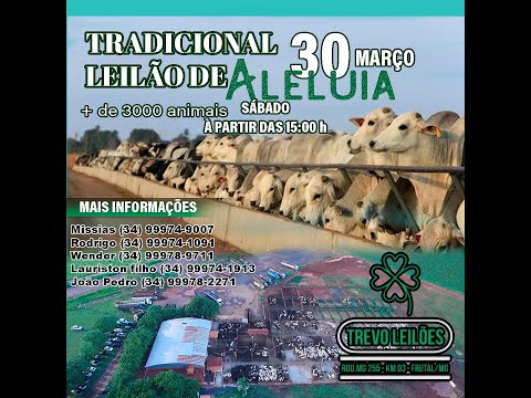 Leilão Presencial e Virtual  na Trevo Leilões, FRUTAL-MG - Dia 30/03/2024