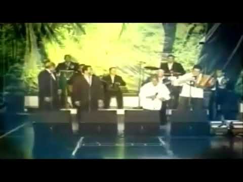 Amis Hijos Porque Silvio Brito