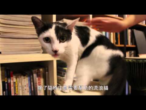 愛貓的蘇格貓底二手書店