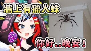 [Vtub] 當忽然在家裡遇到一隻大蜘蛛時...